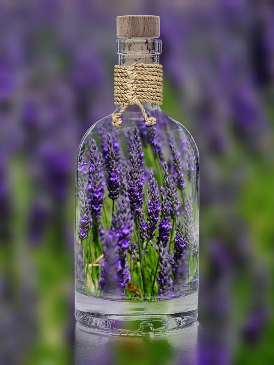 lavender-1490788_960_720