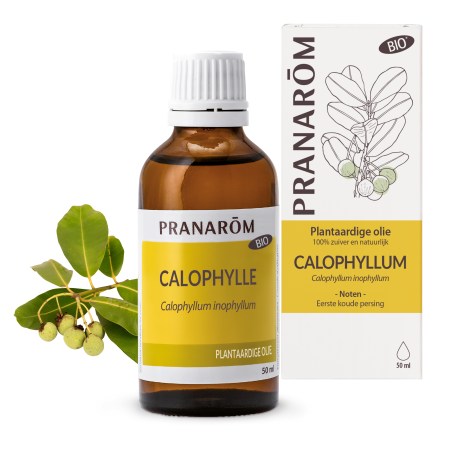 nl22-plantaardige-olie-calophylle-bio-pranarom-012
